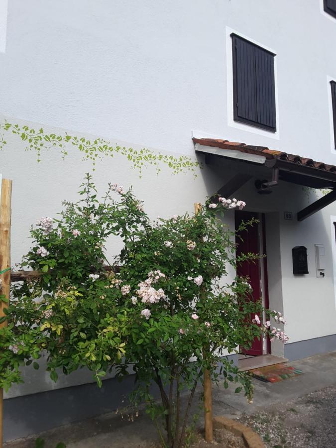 Le Giuggiole 5 Posti Letto In Una Casa Ricca D'Atmosfera Farra d'lsonzo Exterior photo